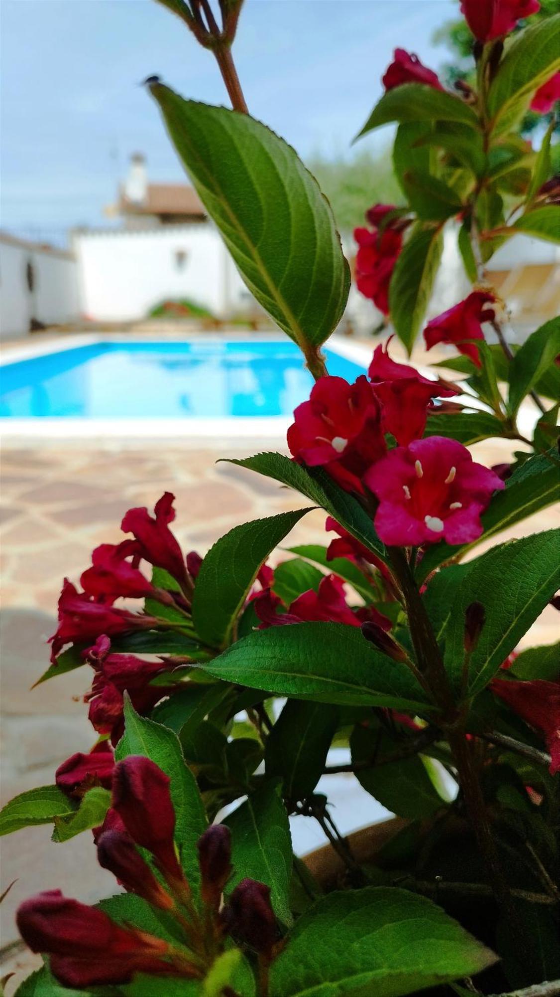 Villa "Pied-A-Terre" Residence & Spa Umag Buitenkant foto