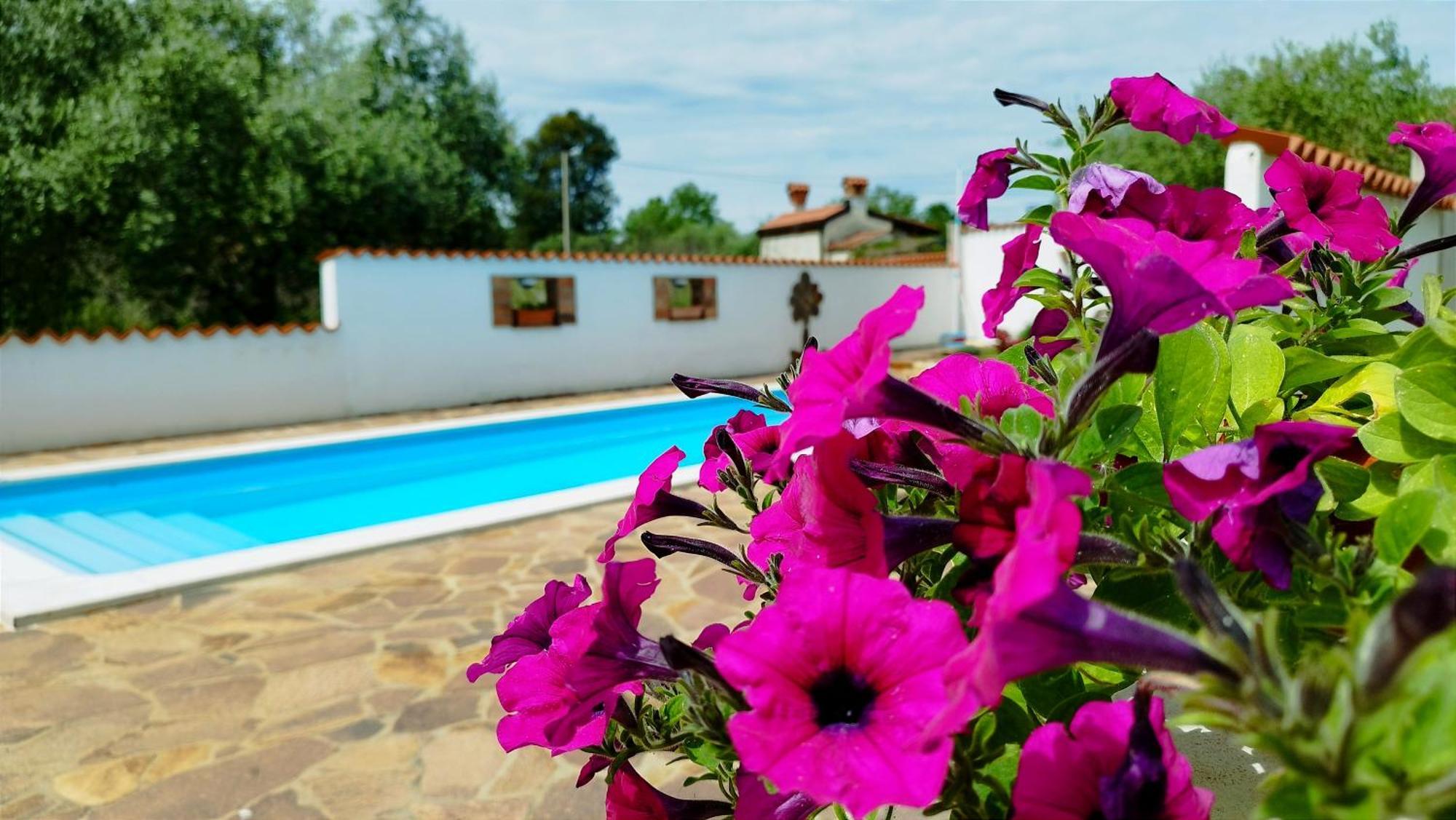 Villa "Pied-A-Terre" Residence & Spa Umag Buitenkant foto